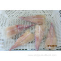 High Qualtiy Fresh Frozen Monkfish